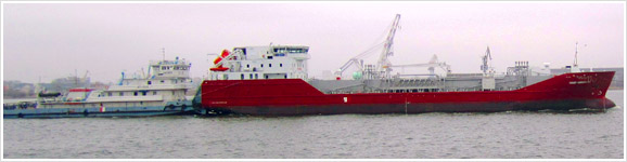 The shipping company �Rosavtodorinvest� 